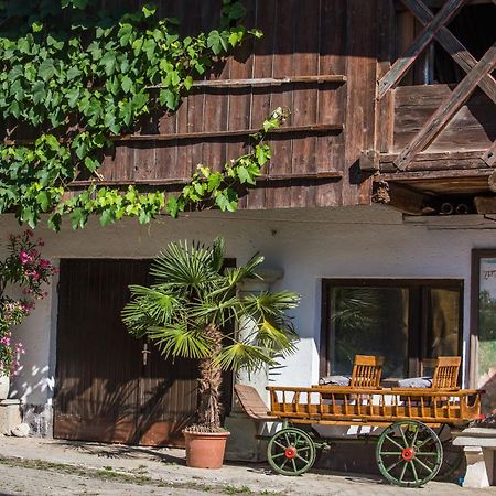 Bio Turisticna Kmetija Frcej-Zupan Villa Bled Ngoại thất bức ảnh