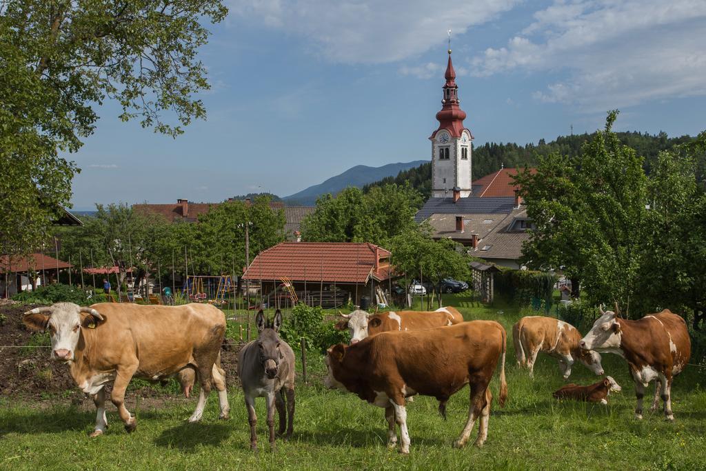 Bio Turisticna Kmetija Frcej-Zupan Villa Bled Ngoại thất bức ảnh